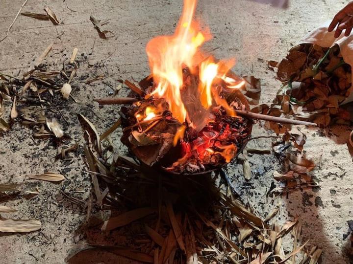 העיר בנגלור Sattva Farmstay מראה חיצוני תמונה