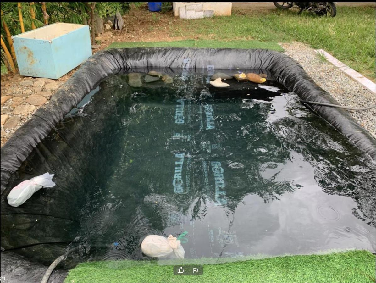 העיר בנגלור Sattva Farmstay מראה חיצוני תמונה