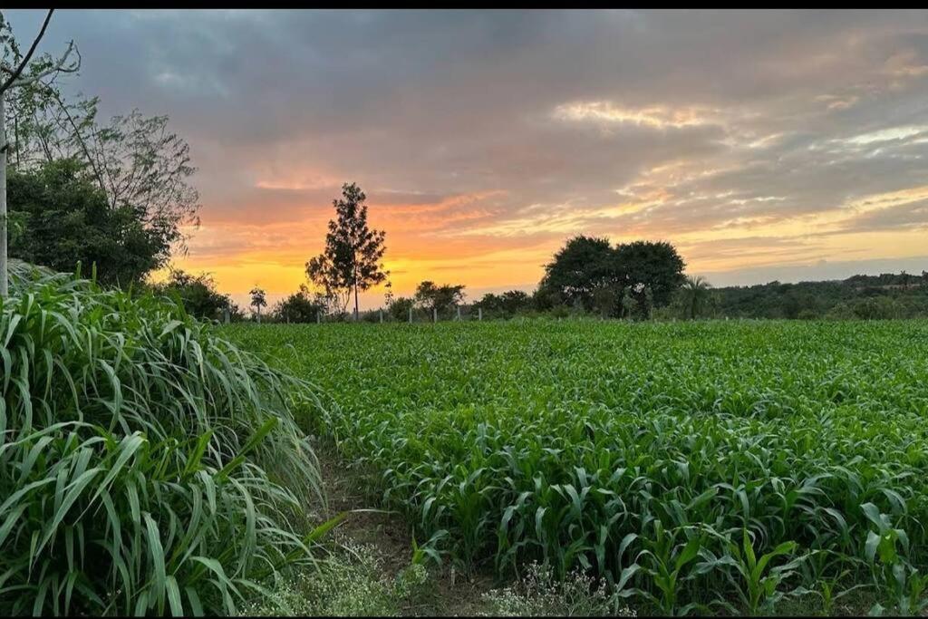 העיר בנגלור Sattva Farmstay מראה חיצוני תמונה