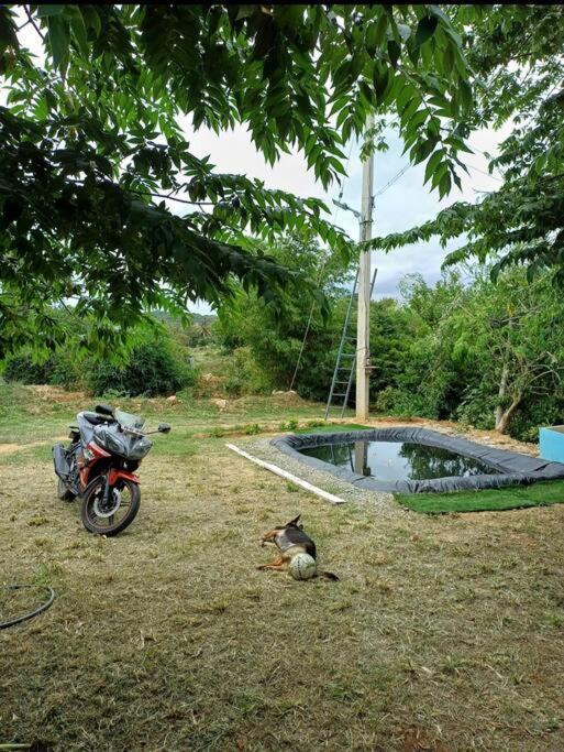 העיר בנגלור Sattva Farmstay מראה חיצוני תמונה