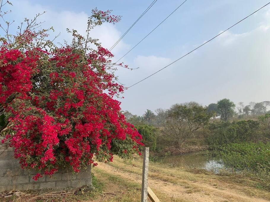 העיר בנגלור Sattva Farmstay מראה חיצוני תמונה