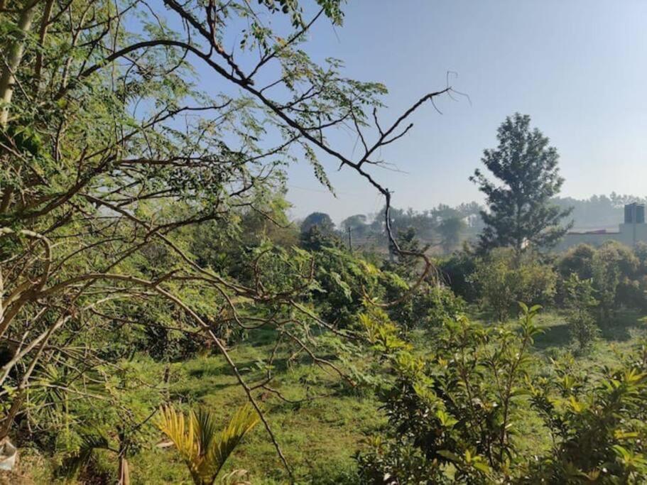 העיר בנגלור Sattva Farmstay מראה חיצוני תמונה
